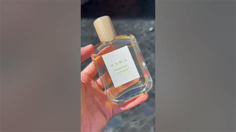 zara terre d hermes